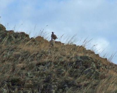 Прикрепленное изображение: kDSCF6109.jpg